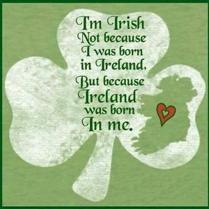 Meet your Posher, Calleen